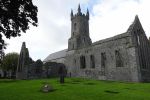 PICTURES/Ennis Friary & Quinn Friary/t_DSC04725.JPG